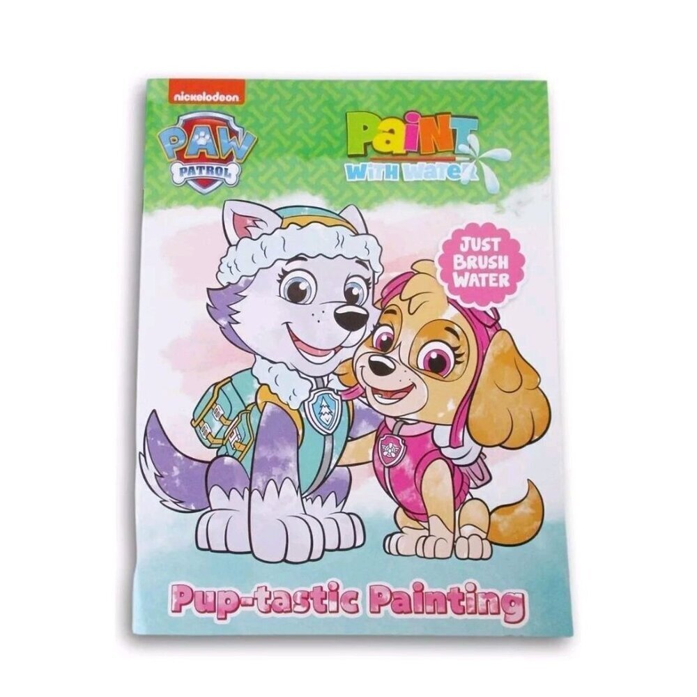 Paint with Water Paintbrush Dreamtivity Paw Patrol Painting Pup-tastic Painting
